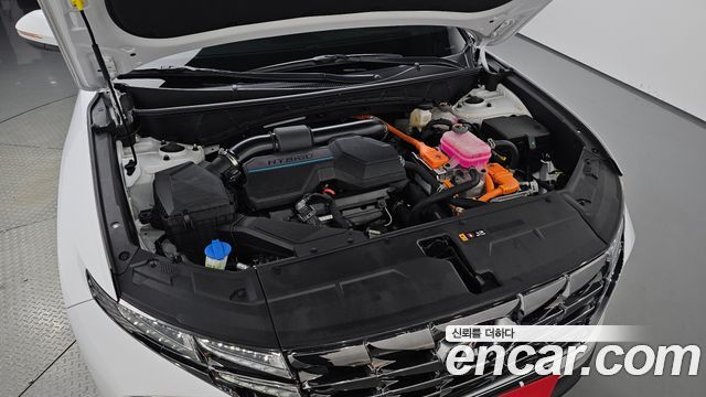 Hyundai Tucson Hybrid (NX4) Premium 2WD 2023 — фото 6