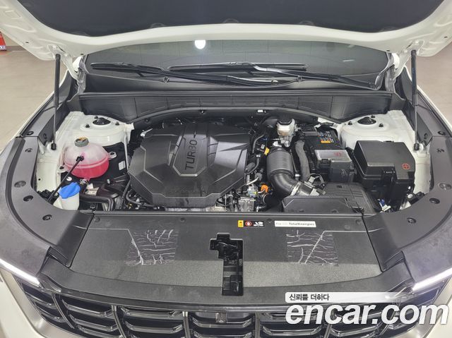 Kia Sorento (IV) Diesel 2.2 4WD Gravity 2025 — фото 24
