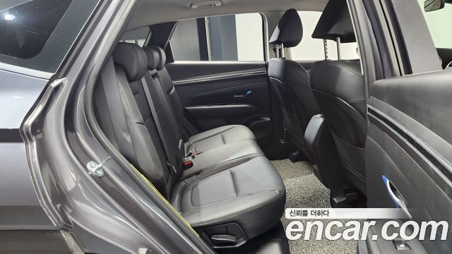 Hyundai Tucson (NX4) Diesel 2.0 2WD Modern 2023 — фото 11
