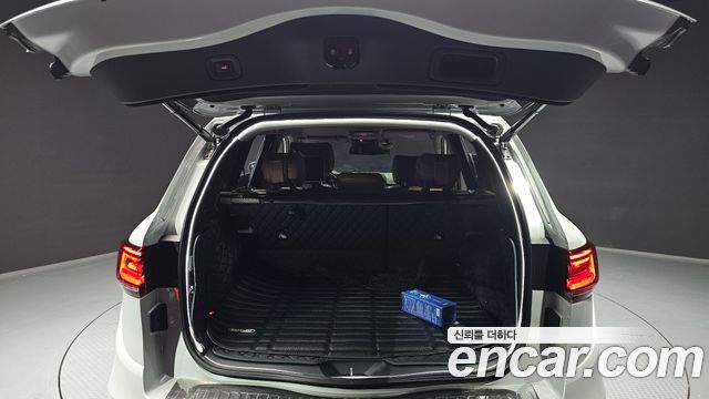 Renault Korea QM6 2.0 GDe RE Signature 2WD 2023 — фото 18