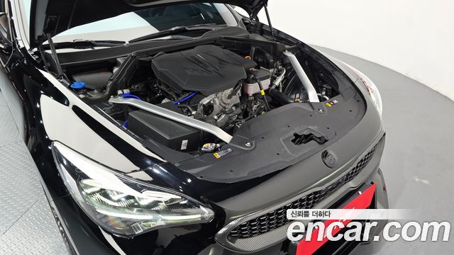 Kia Stinger Meister 2.5 AWD Masters 2021 — фото 6