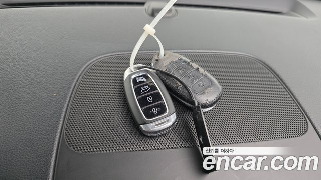 Hyundai Santa Fe (TM) Diesel 2.0 2WD Premium 2019 — фото 17