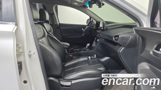 Hyundai Santa Fe (TM) Diesel 2.0 2WD Premium 2019 — фото 26