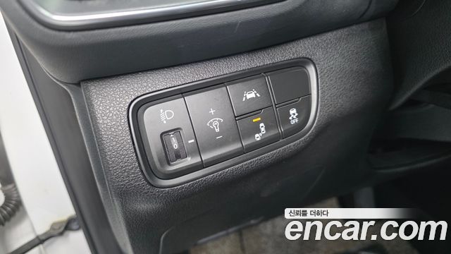 Hyundai Santa Fe (TM) Diesel 2.0 2WD Premium 2019 — фото 30