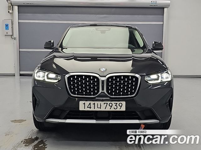 BMW X4 (G02) xDrive20i xLine