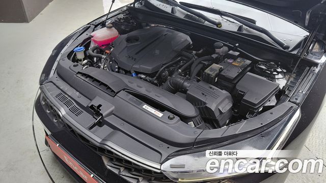 Kia K5 (III) 1.6 Turbo Prestige 2023 — фото 6