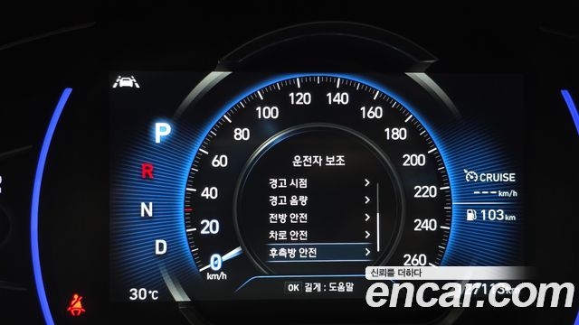 Hyundai Santa Fe (TM) Gasoline 2.0T 2WD Prestige 2020 — фото 17