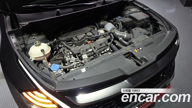 Kia Sportage (V) Gasoline 1.6 Turbo 2WD Nobleless 2022 — фото 6
