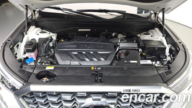 Hyundai Palisade Diesel 2.2 2WD Exclusive 2021 — фото 6