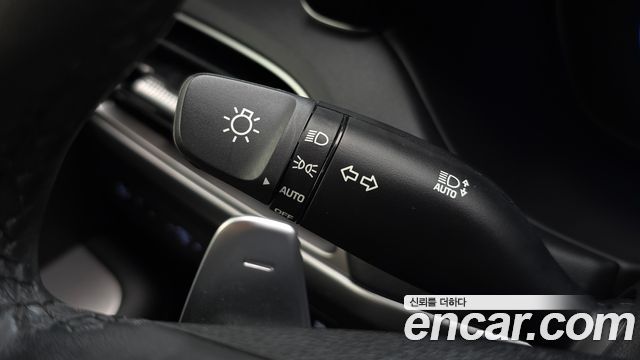 Hyundai Palisade Diesel 2.2 2WD Exclusive 2021 — фото 32