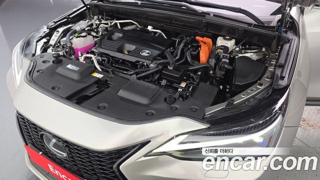Lexus NX450h+ (II) F-Sport 2025 — фото 6