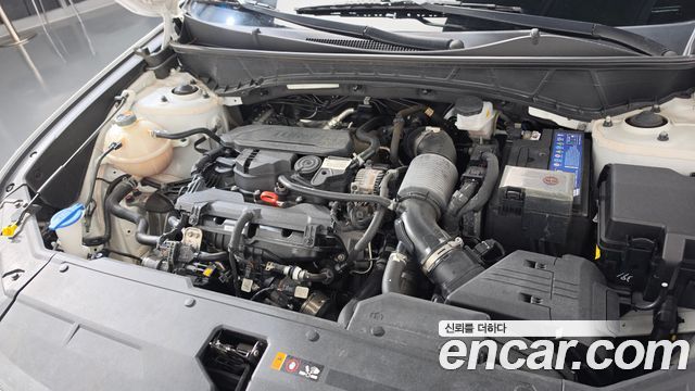 Hyundai Tucson (NX4) Gasoline 1.6 Turbo 2WD Modern 2023 — фото 6