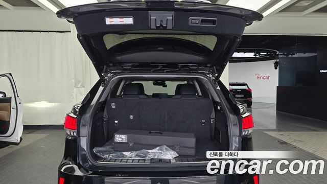 Lexus RX450hL (IV) Executive 2021 — фото 38