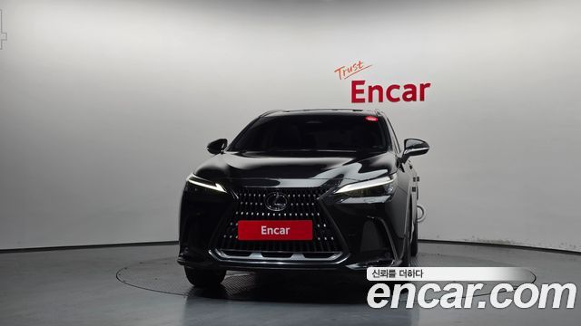 Lexus NX350h (II) Premium 2025 — фото 3