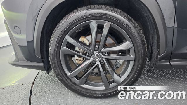 Lexus NX350h (II) Premium 2025 — фото 5