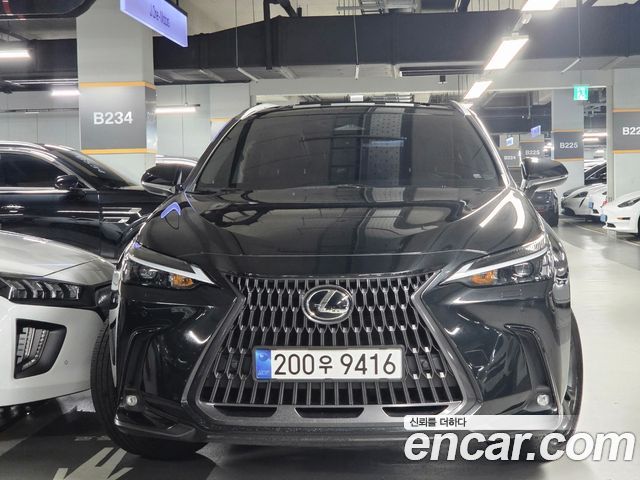Lexus NX350h (II) Premium 2025 — фото 48