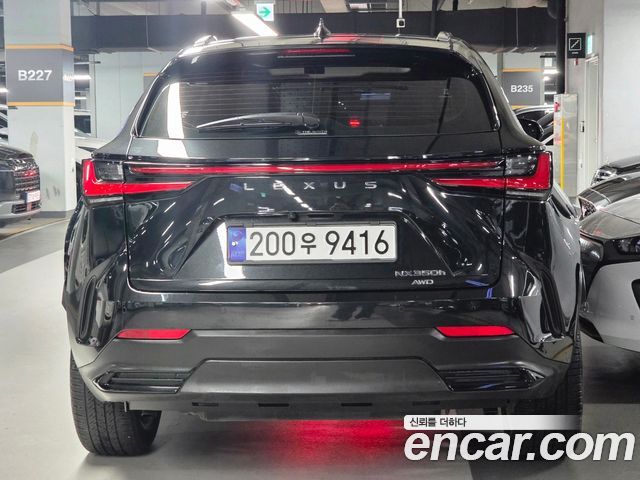 Lexus NX350h (II) Premium 2025 — фото 50