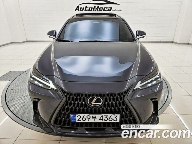 Lexus NX350h (II) Luxury