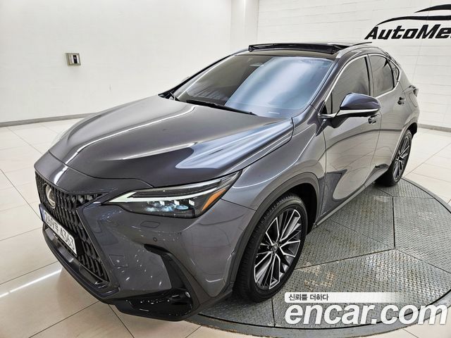 Lexus NX350h (II) Luxury 2024 — фото 2