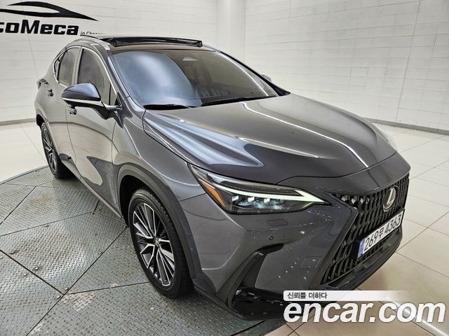 Lexus NX350h (II) Luxury 2024 — фото 3