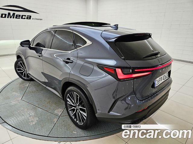 Lexus NX350h (II) Luxury 2024 — фото 4
