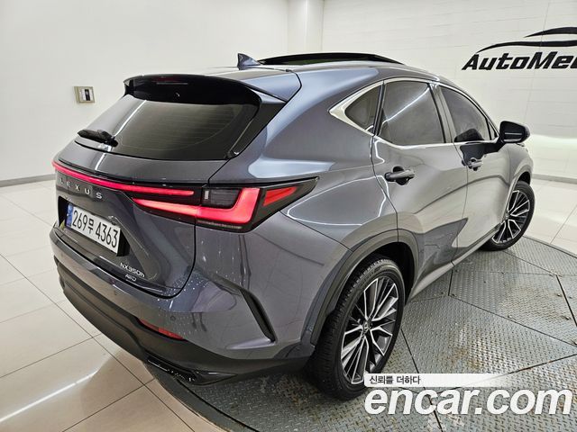 Lexus NX350h (II) Luxury 2024 — фото 5
