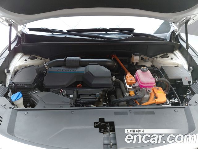 Kia Sorento (IV) HEV 1.6 2WD Noblesse 2023 — фото 6