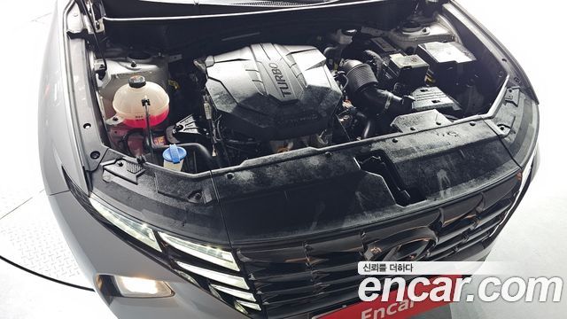 Hyundai Tucson (NX4) Diesel 2.0 2WD Modern 2022 — фото 6