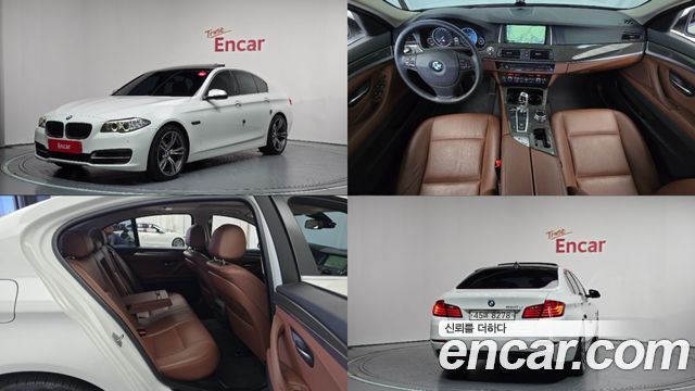 BMW 5 Series (F10) 520d