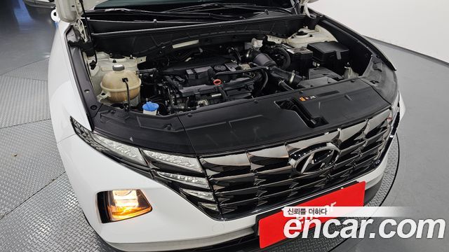 Hyundai Tucson (NX4) Gasoline 1.6 Turbo 2WD Modern 2021 — фото 6