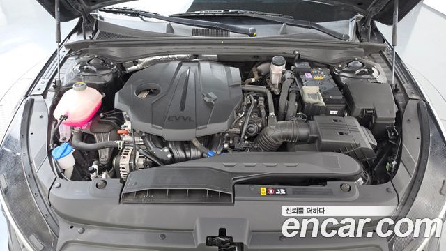 Kia K5 (III) 2.0 Noblesse 2023 — фото 6