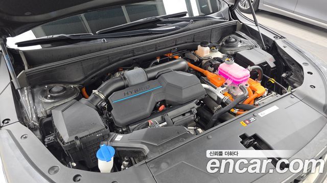 Kia Sorento (IV) HEV 1.6 4WD Prestige 2024 — фото 6