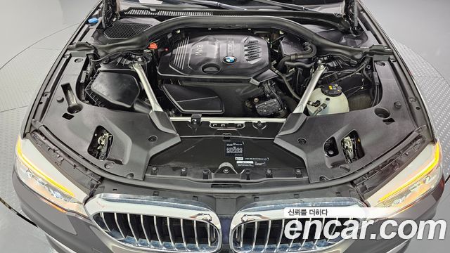 BMW 5 Series (G30) 520d xDrive Luxury Plus 2018 — фото 6