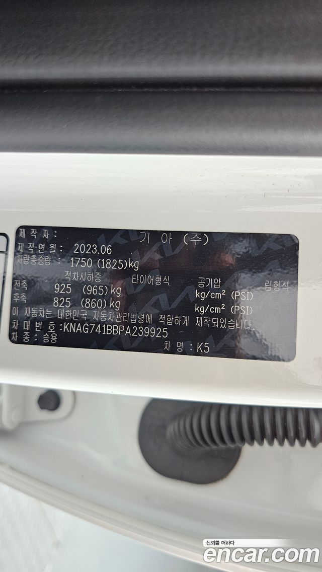 Kia K5 (III) 2.0 LPI(Renter car) Trandy 2023 — фото 19