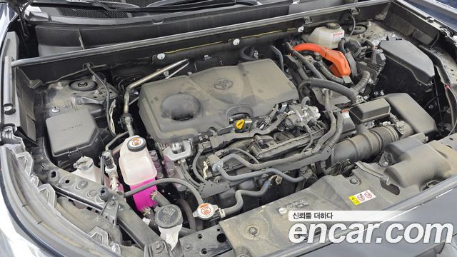 Toyota RAV4 (V) 2,5 4WD Hybrid LTD 2023 — фото 6