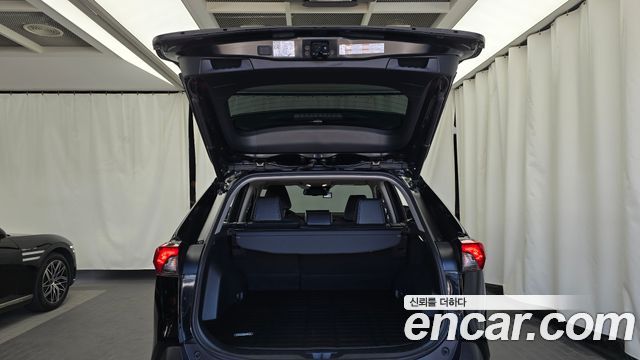 Toyota RAV4 (V) 2,5 4WD Hybrid LTD 2023 — фото 18