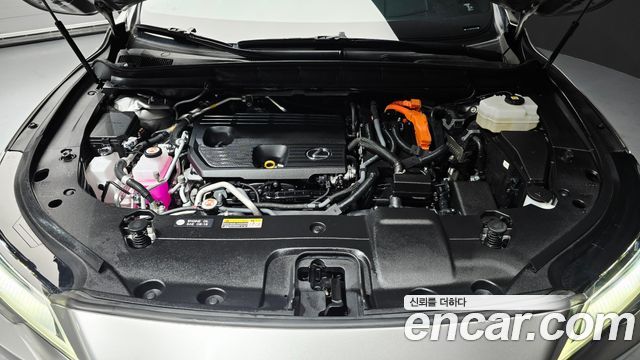 Lexus RX450h+ (V) Luxury 2023 — фото 6