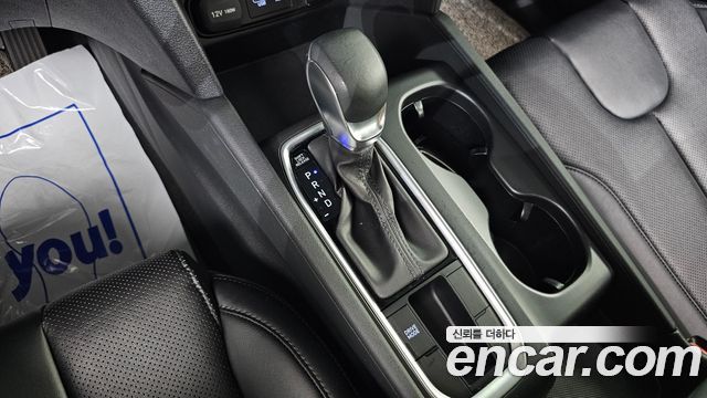 Hyundai Santa Fe (TM) Gasoline 2.0T 2WD Premium 2020 — фото 9