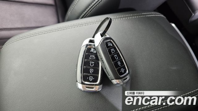 Hyundai Santa Fe (TM) Gasoline 2.0T 2WD Premium 2020 — фото 19