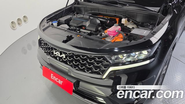 Kia Sorento (IV) HEV 1.6 2WD Gravity 2023 — фото 6