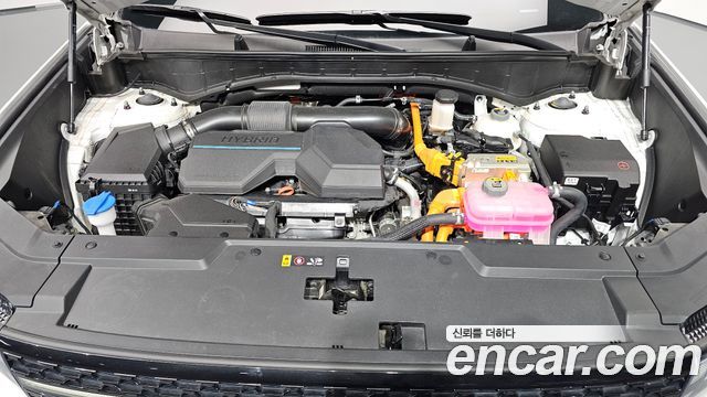Hyundai Santa Fe (MX5) HEV 1.6 4WD Calligraphy 2024 — фото 6