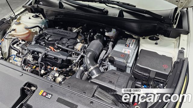 Kia Sportage (V) Gasoline 1.6 Turbo 2WD Trendy 2022 — фото 6