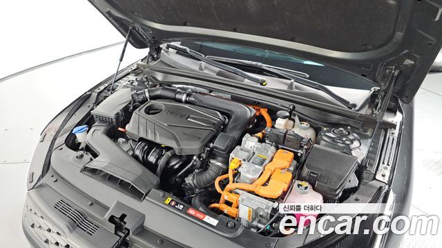 Kia K5 Hybrid (III) Noblesse 2021 — фото 6