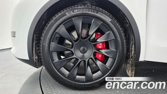 Tesla Model Y RWD 2023 — фото 5