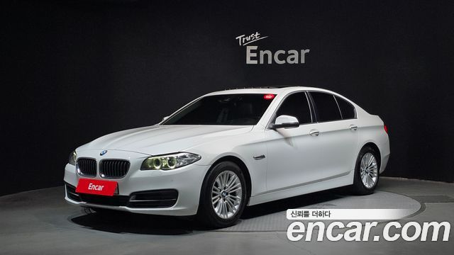 BMW 5 Series (F10) 520d