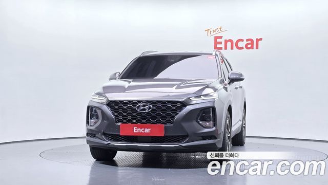 Hyundai Santa Fe (TM) Diesel 2.0 2WD Exclusive Special 2019 — фото 3