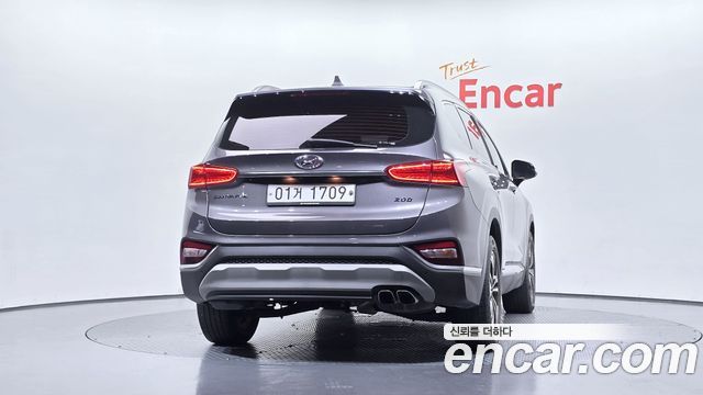 Hyundai Santa Fe (TM) Diesel 2.0 2WD Exclusive Special 2019 — фото 4