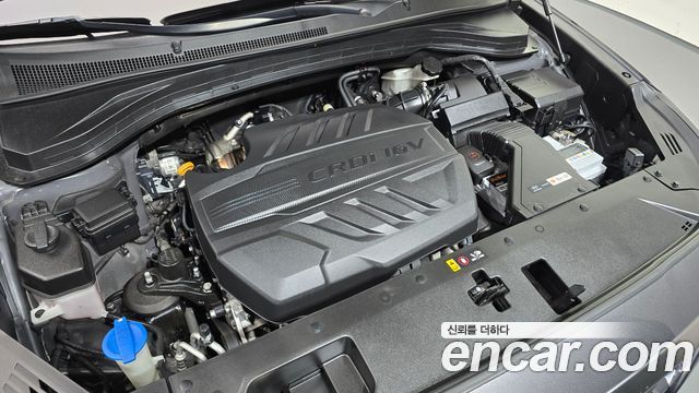 Hyundai Santa Fe (TM) Diesel 2.0 2WD Exclusive Special 2019 — фото 6