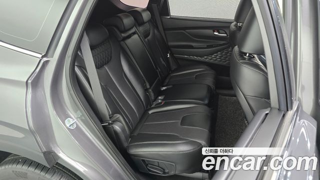 Hyundai Santa Fe (TM) Diesel 2.0 2WD Exclusive Special 2019 — фото 11