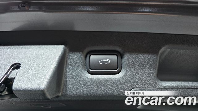 Hyundai Santa Fe (TM) Diesel 2.0 2WD Exclusive Special 2019 — фото 20